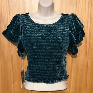 Trovata Velvet Smocked Top in Deep Green